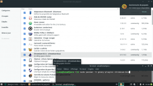 Installer une Application sous Linux - Terminal et Gestionnaires de Paquets - Manjaro
